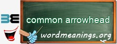 WordMeaning blackboard for common arrowhead